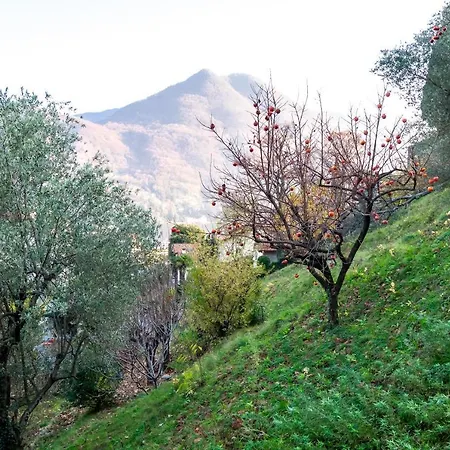 La Casa Del Duca Casa vacanze *